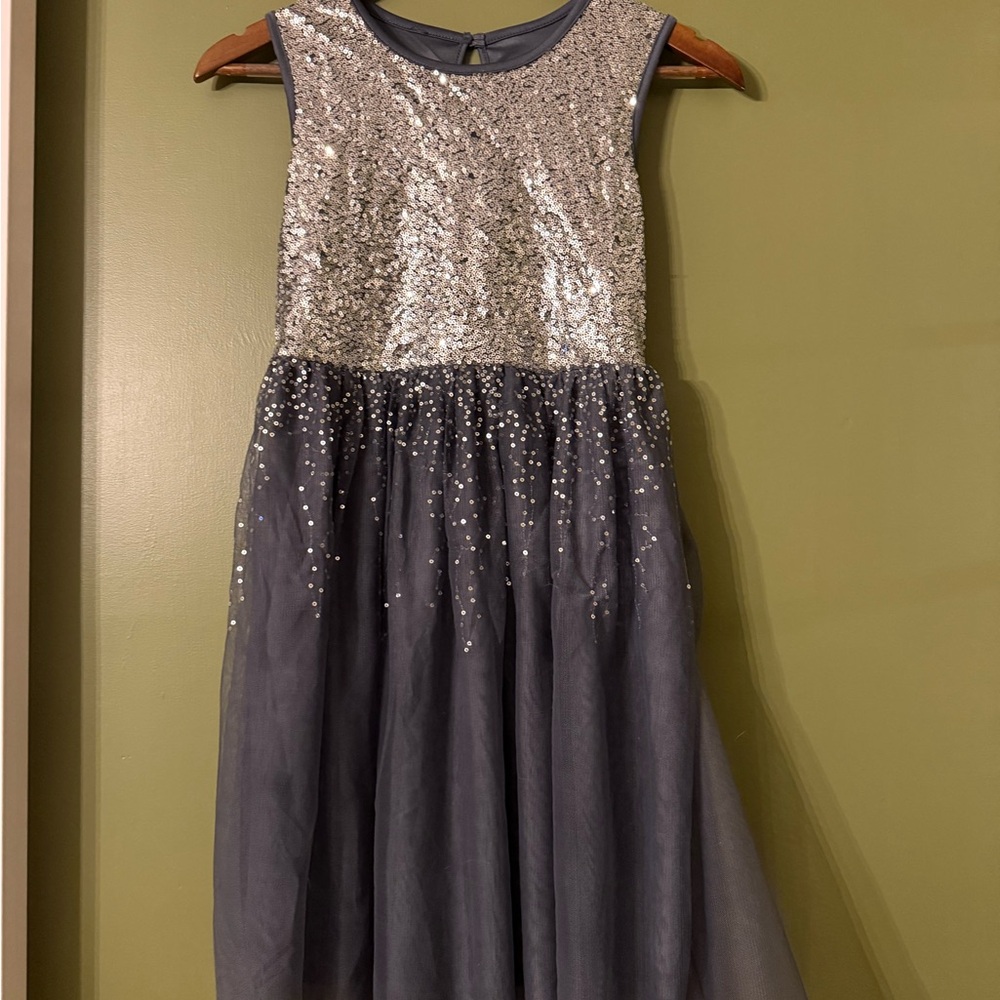 Silver and Gray Sequin Dress
